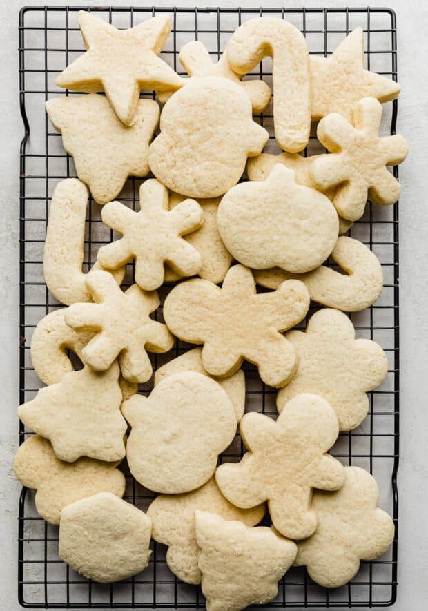 no-fail-sugar-cookies-salt-baker