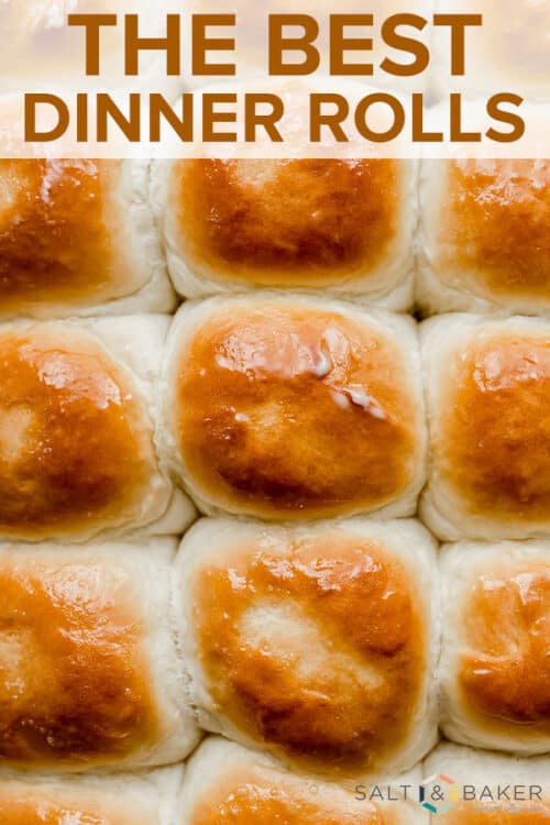 The BEST Dinner Rolls Recipe (soft & fluffy) — Salt & Baker