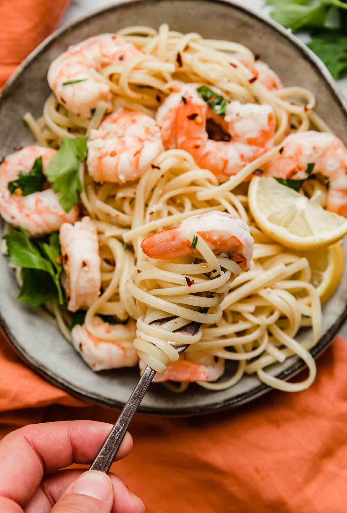 A fork twisting linguine noodles with shrimp attached to the end of the fork.