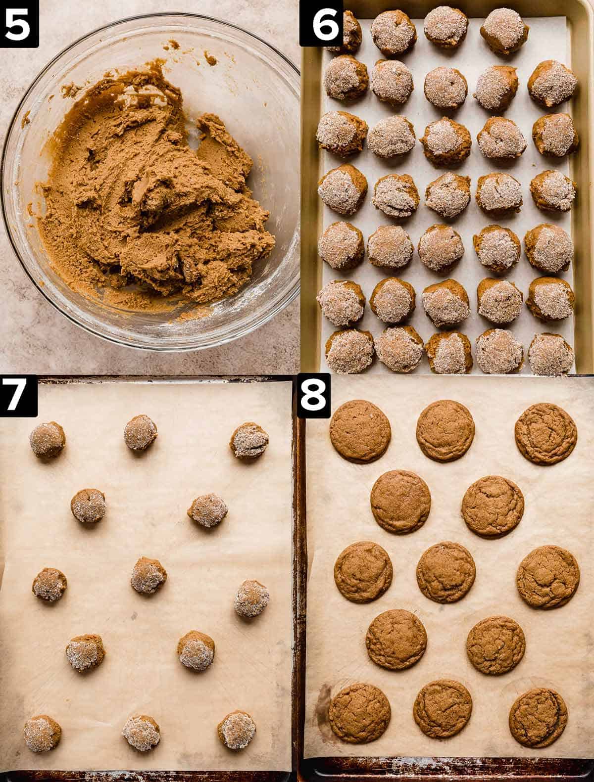 Four images showing how to make gingersnaps: top left has brown gingersnap dough in a glass bowl, top right and bottom left photo is gingersnap cookie dough balls on baking sheet, bottom right photo is baked soft gingersnap cookies on baking sheet.