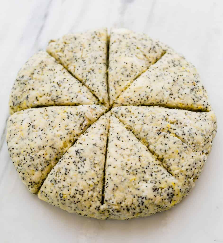 Lemon Poppy Seed Scones dough formed into a round disk and cut into 8 equal sized wedges.