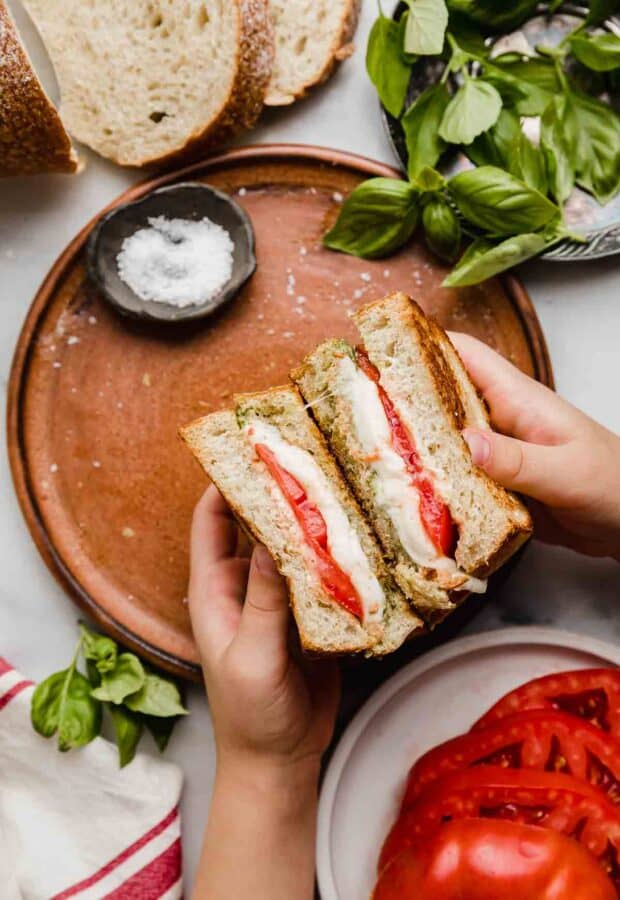 Pesto Mozzarella Sandwich - Salt & Baker