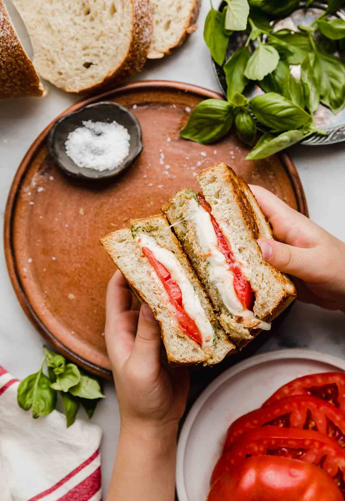 A pair of hands holding two halves of a Pesto Mozzarella Sandwich with tomato over a brown plate.