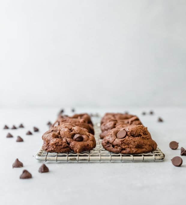 The BEST Double Chocolate Chip Cookies | Salt & Baker