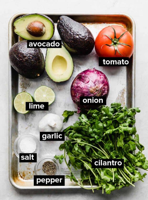 Healthy Guacamole Recipe — Salt & Baker