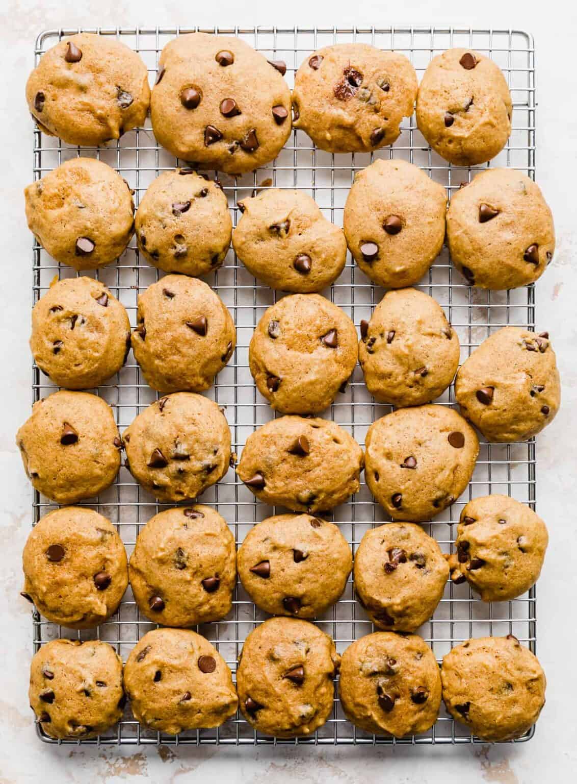 libby-s-pumpkin-chocolate-chip-cookies-salt-baker