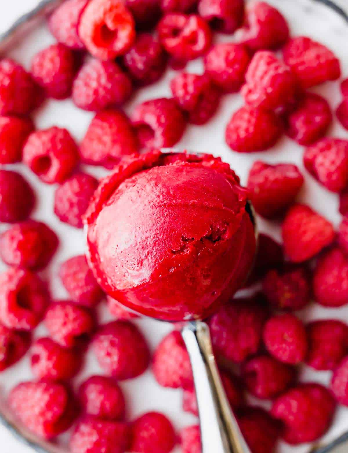 An ice cream scoop with a scoop of red Raspberry Sorbet that has been churned, above a bed of fresh raspberries.