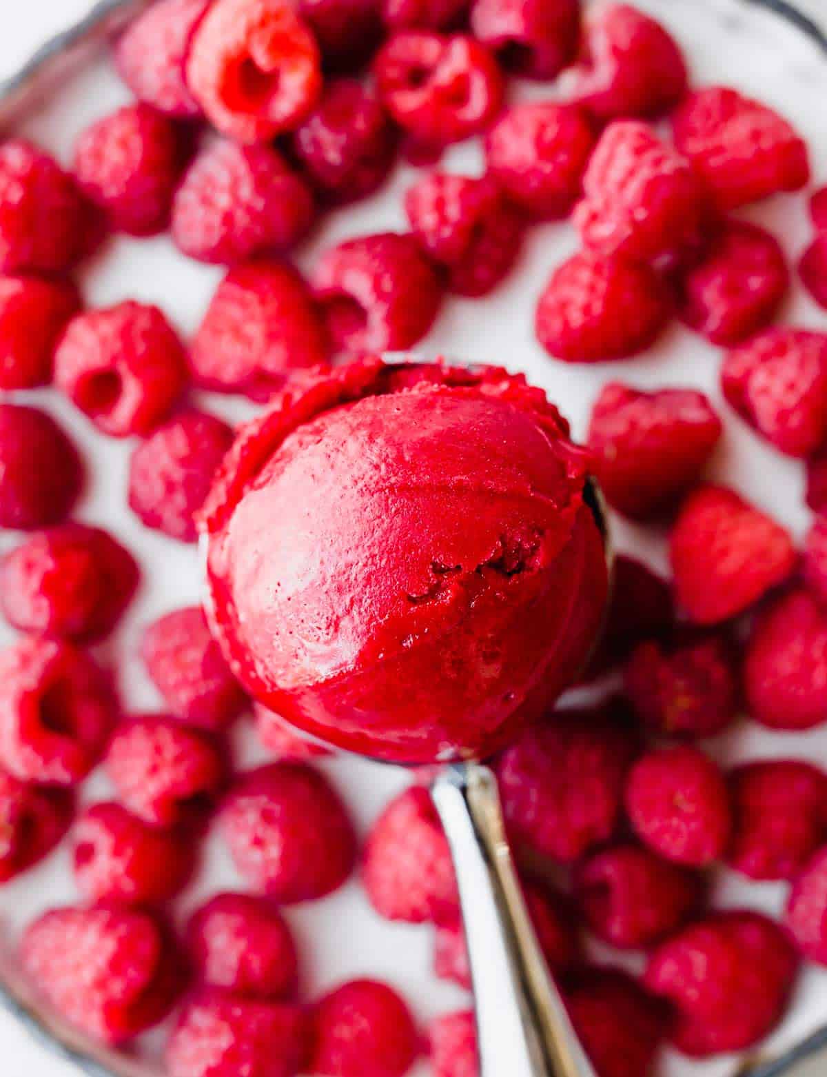 Raspberry Sorbet  America's Test Kitchen Recipe