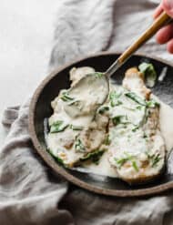 Two chicken breasts topped with a creamy dijon mustard chicken sauce.