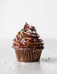 A single chocolate cupcake topped with piped chocolate buttercream and colorful sprinkles.
