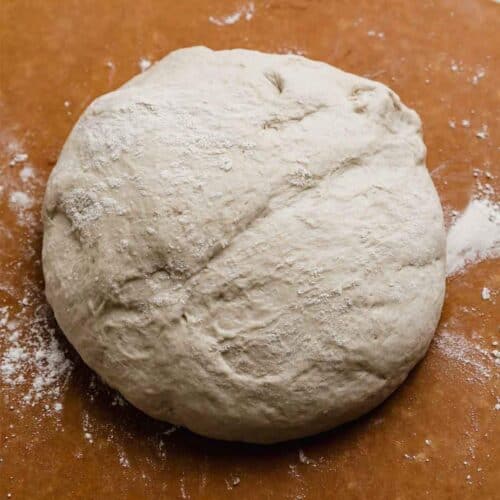 The BEST Pizza Dough Recipe — Salt & Baker