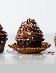 Three chocolate cupcakes lined up side by side on against a white background.