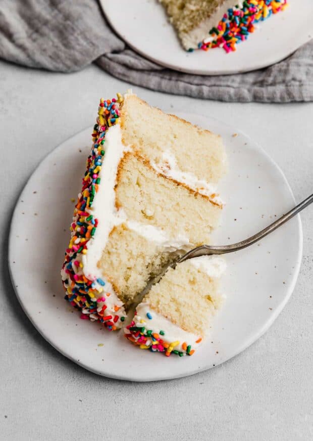 Sprinkle Smash Cake Recipe — Salt & Baker