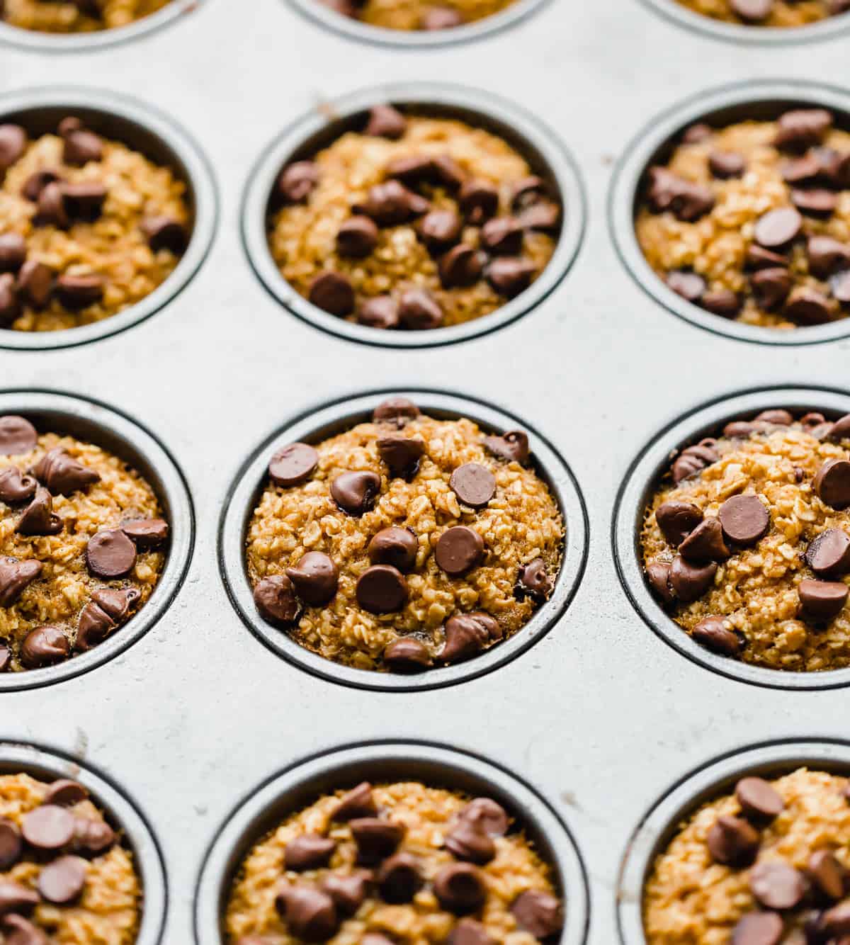 Baked Pumpkin chocolate chip Oatmeal Cups in a muffin tin.