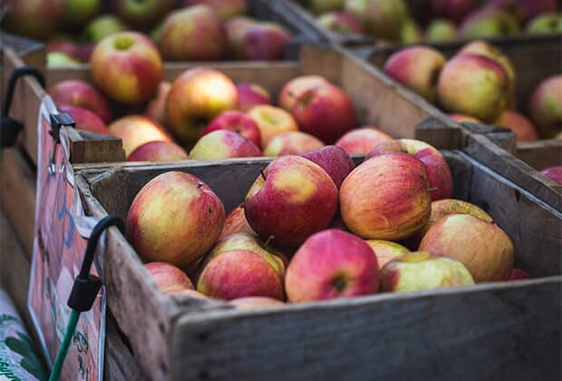 Several boxes full of apples 