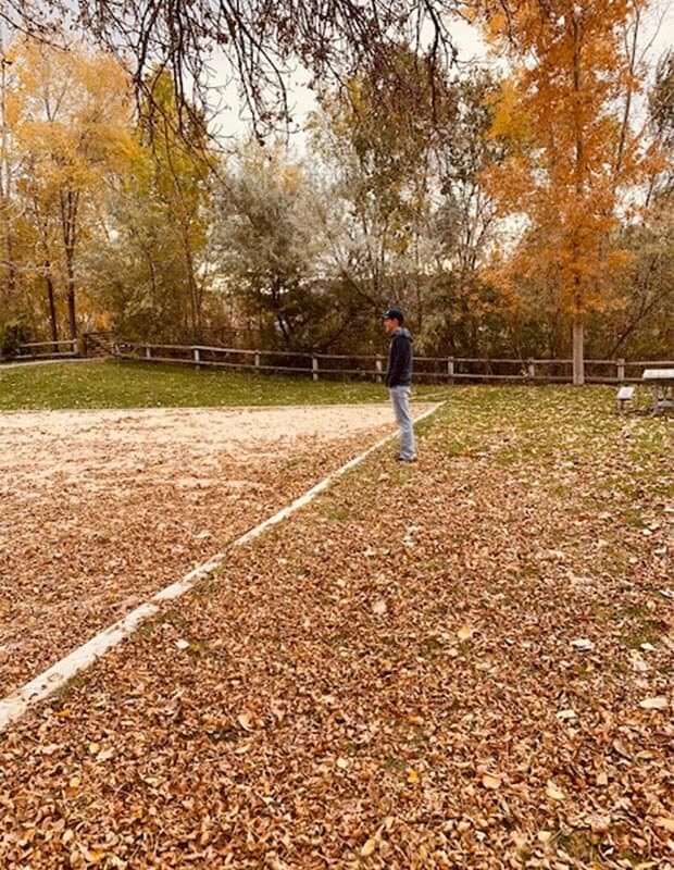 Fall leaves on the ground. 