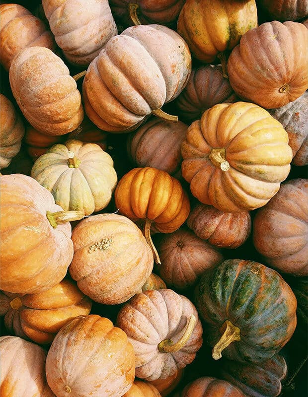 Green and orange pumpkins.