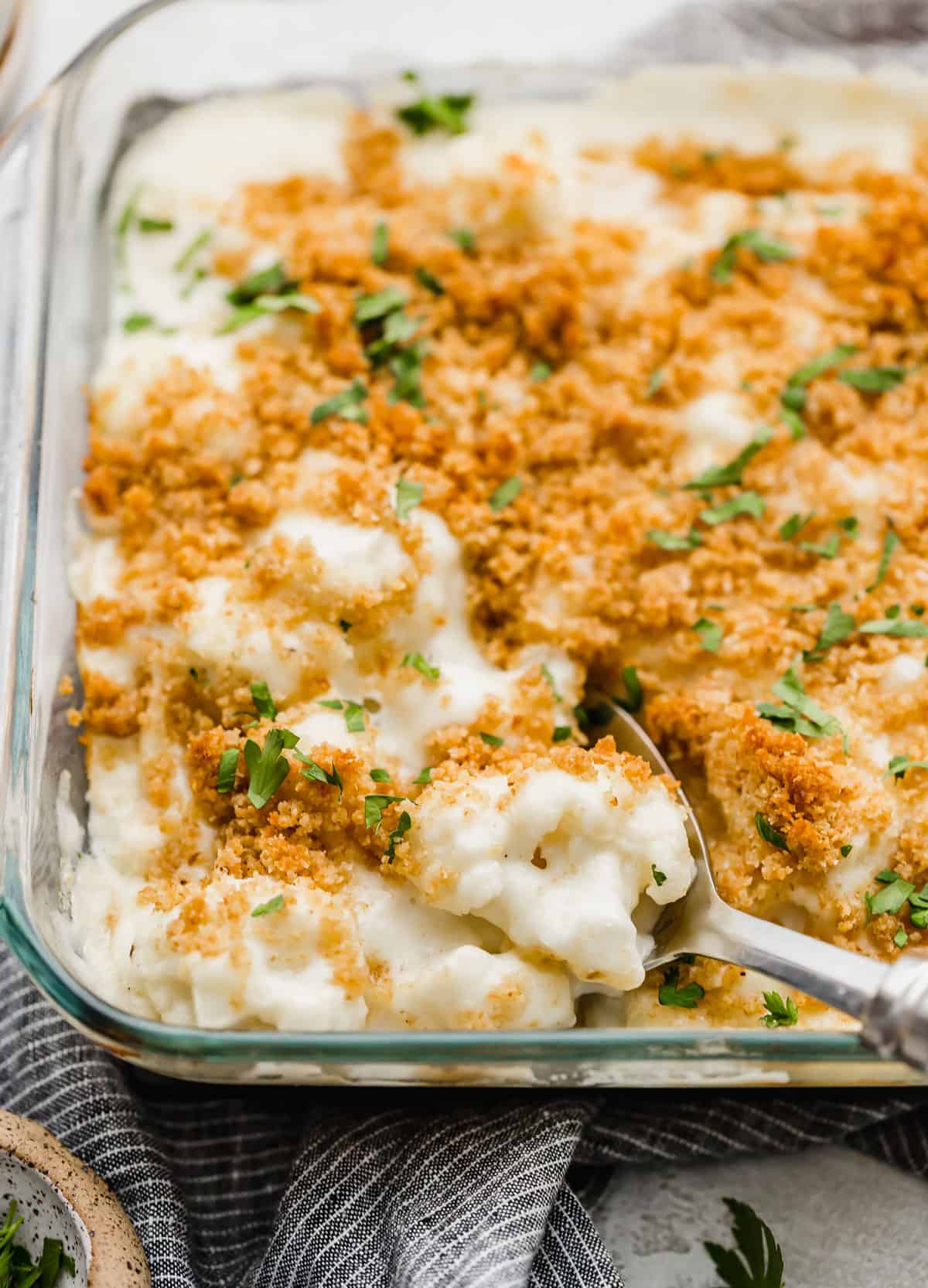 Cheesy breadcrumb and parsley topped Cauliflower Gratin in a glass square baking dish.