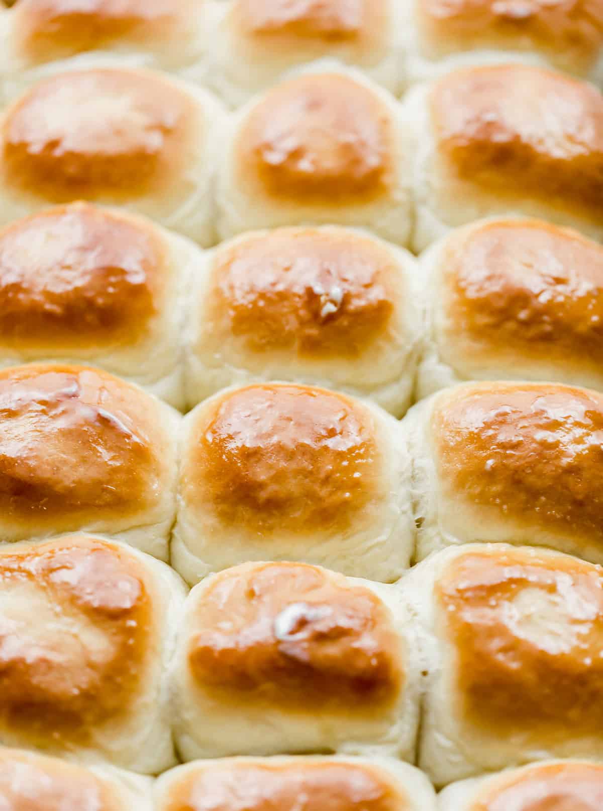 Homemade Rolls on a baking sheet with the tops perfectly golden and topped with melted butter.