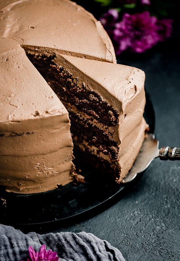 Moist Chocolate Cake Recipe — Salt & Baker