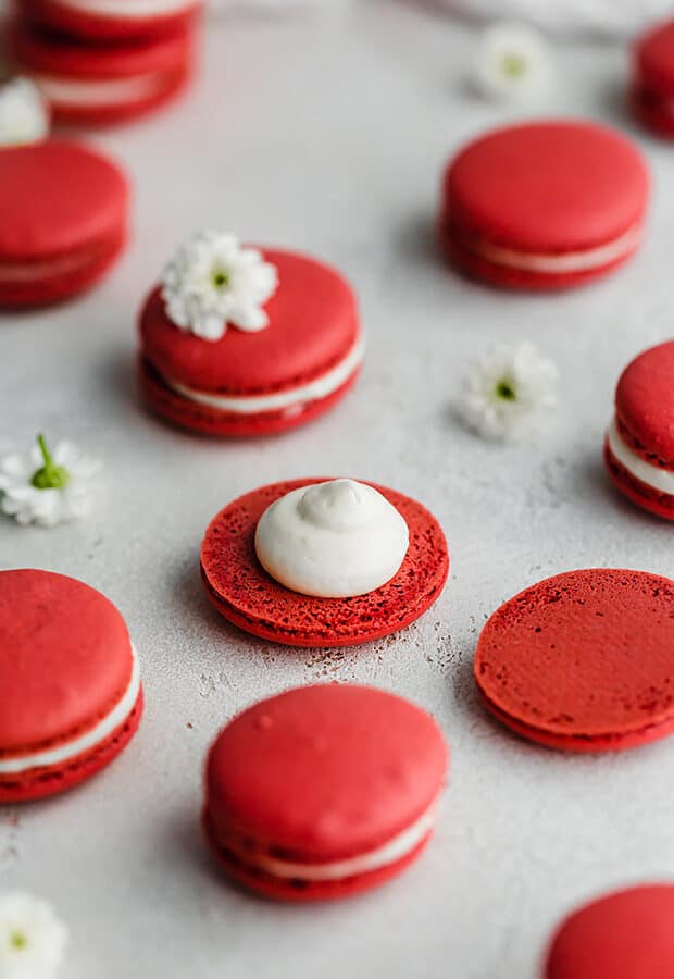 Ein roter Samt-Macaron mit einem Klecks Frischkäse-Zuckerguss auf einem Macaron-Keks.