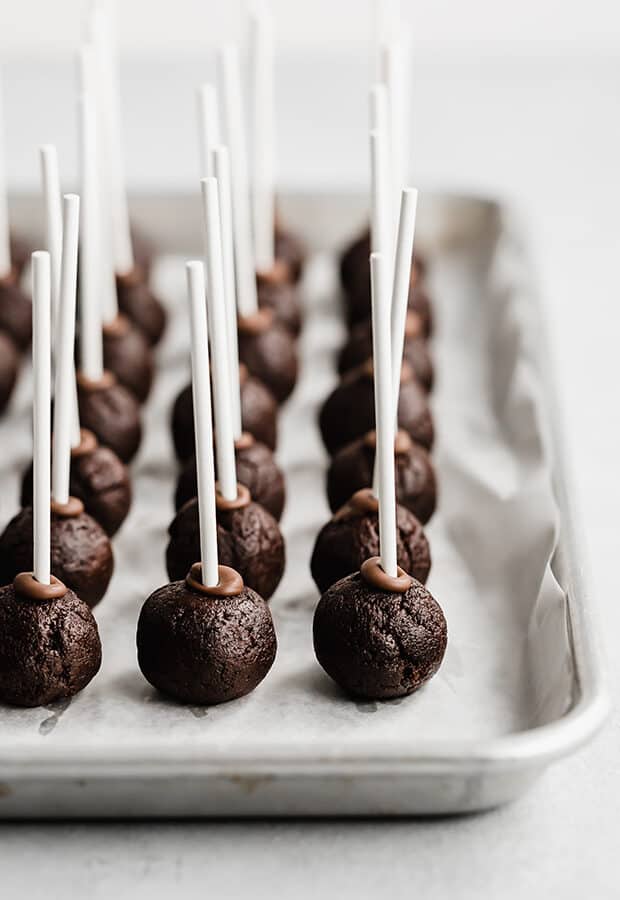 Chocolate cake pops with lollipop sticks stuck inside each ball.
