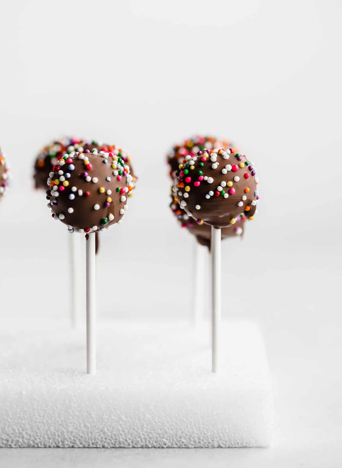 A chocolate covered chocolate cake pop topped with colorful sprinkles, standing in a white styrofoam cube against a white background.