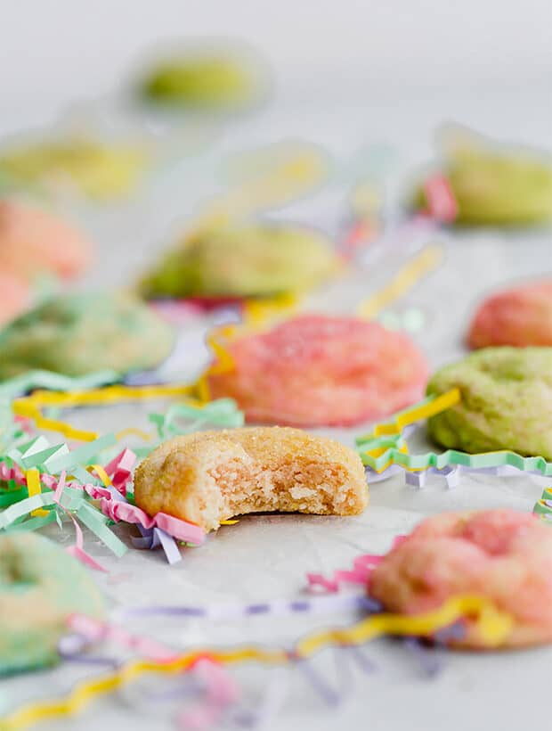 Easter {Sugar Coated} Sugar Cookies!! — Salt & Baker