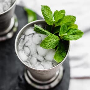Virgin Mint Julep Salt Baker Virgin Mint Julep 4 290x290