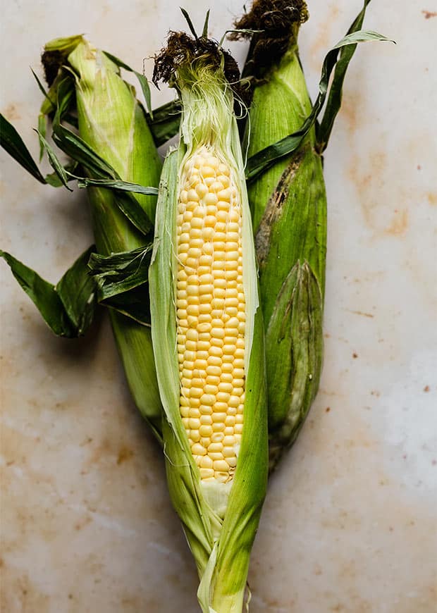 sweet-boiled-corn-how-to-boil-corn-perfectly-salt-baker