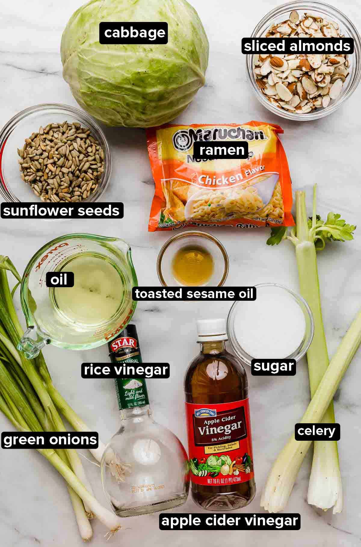 Cabbage salad ingredients on a white background, ingredients include: packet of ramen, celery, green onions, sesame oil, rice vinegar, almonds, sunflower seeds, sugar, cabbage.