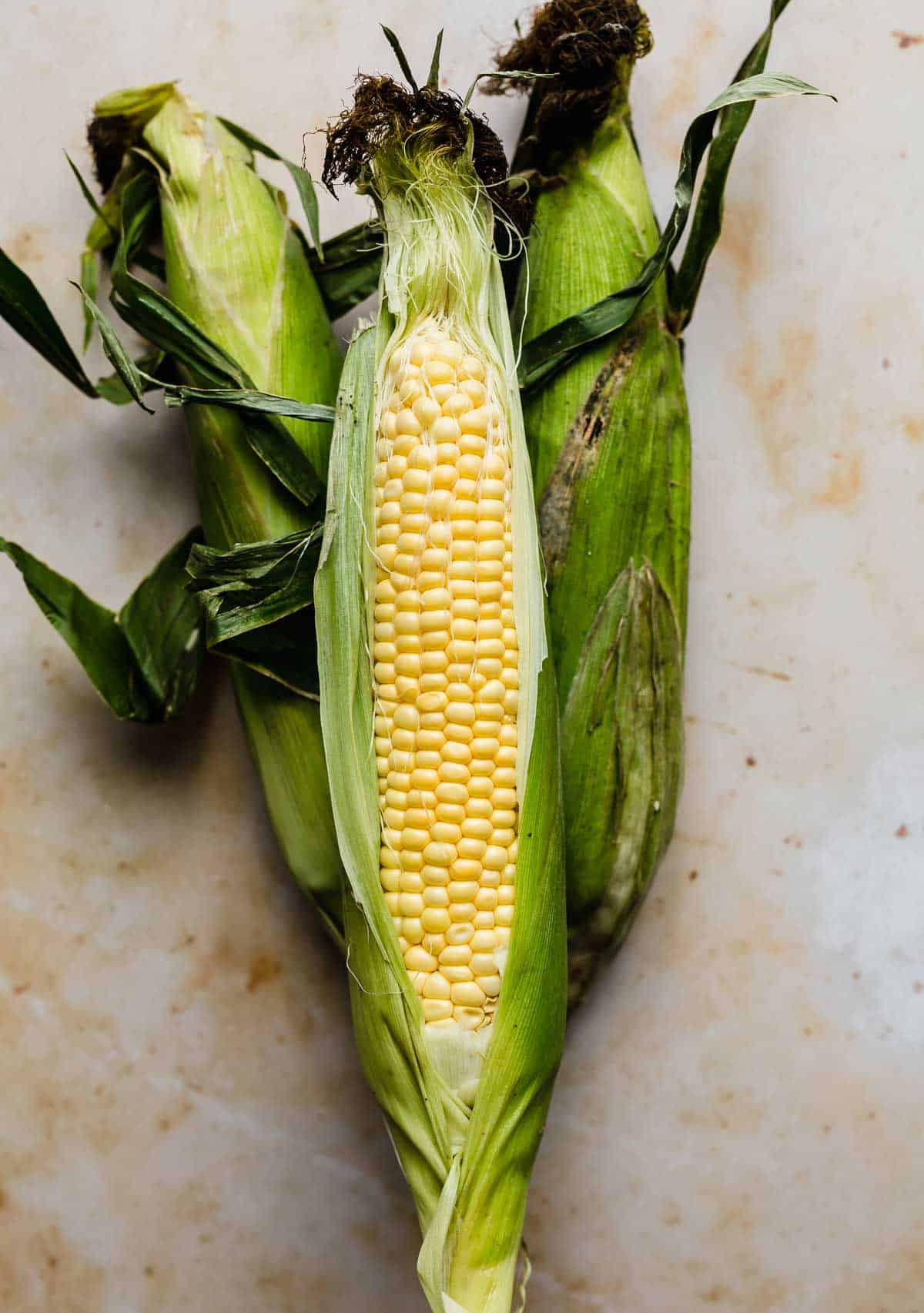 A single corn on the cob with the husks still on it, minus the front strip which has been removed to expose the yellow corn inside.