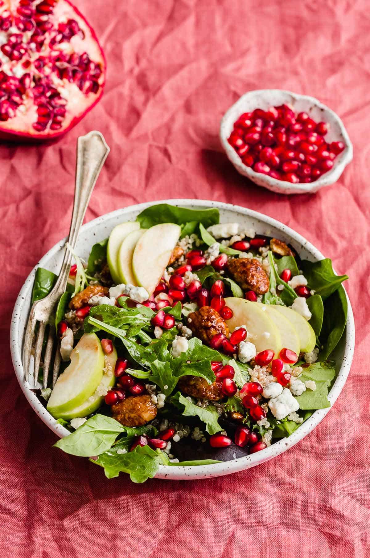 Pomegranate Salad on a white plate on a red background.