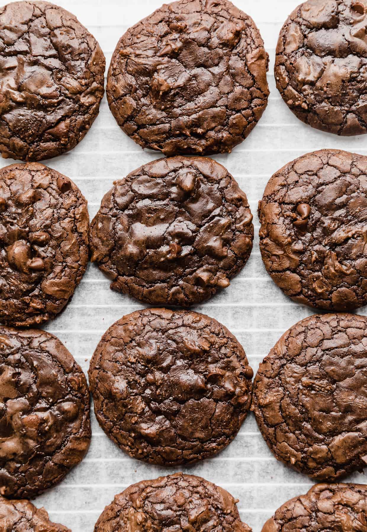 Baked brownie cookies with a crackly top studded with chocolate chips on a white background. 