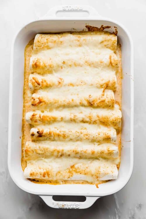 Honey Lime Chicken Enchiladas — Salt & Baker