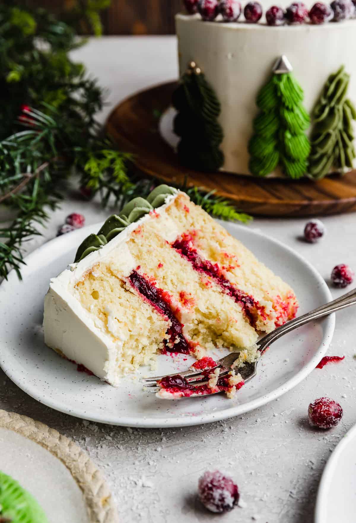 A slice of orange cranberry layer cake decorated with green Christmas trees along the edges, on a white plate.