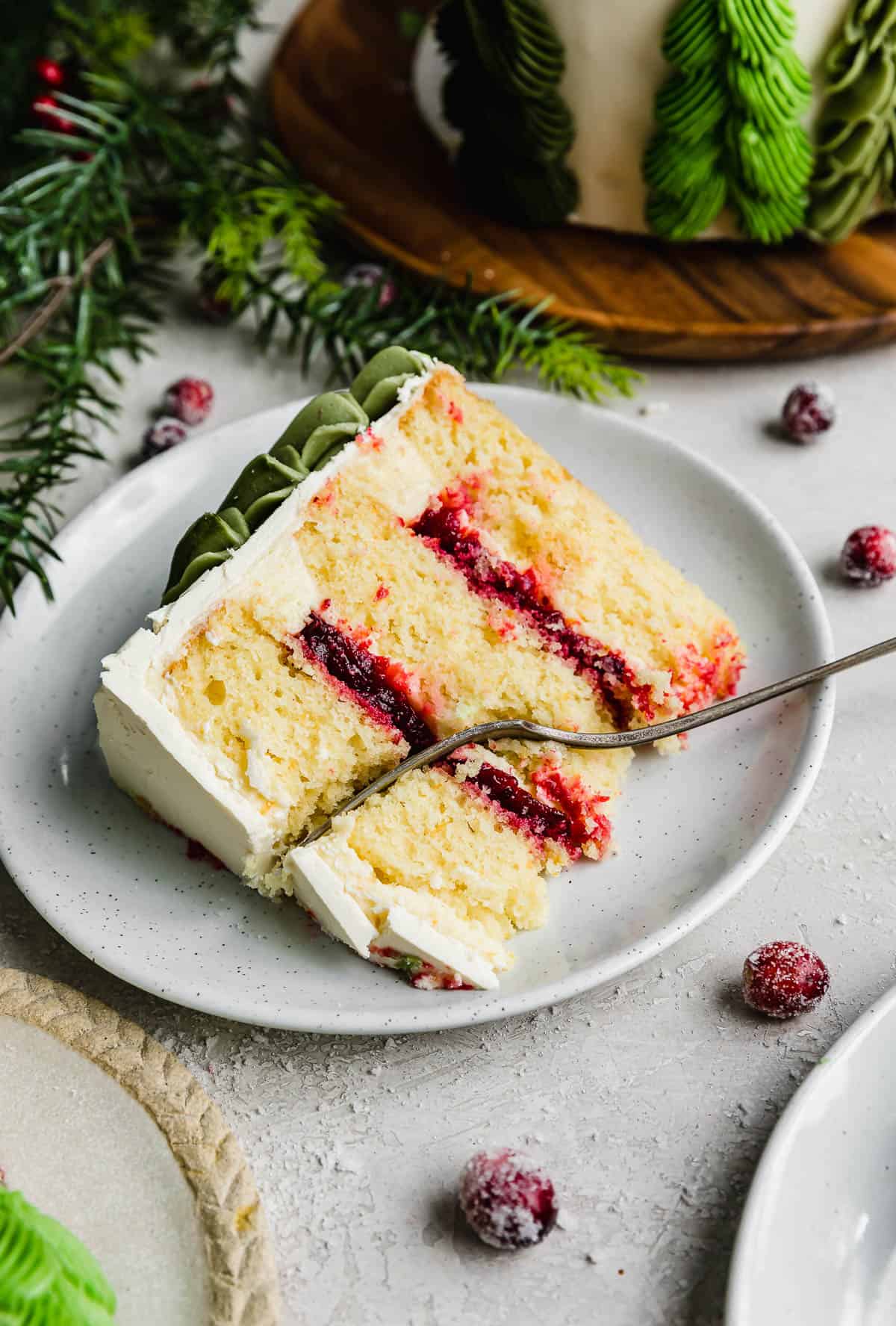 A slice of orange cranberry layered cake on a white plate with sugared cranberries scattered around the plate. 