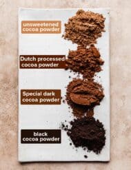 Unsweetened cocoa, dutch processed cocoa, special dark cocoa, and black cocoa on a white plate.