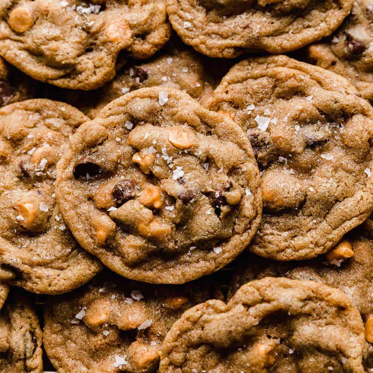 cookies butterscotch chips