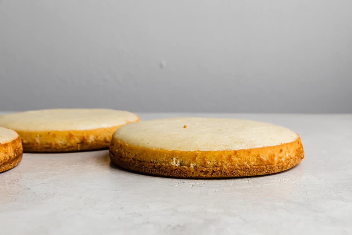 A key lime cake baked on a graham cracker crust against a grey background.