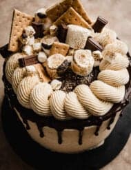 The top of a S'mores layer cake decorated with graham crackers, toasted mini and large marshmallows, and chocolate squares.