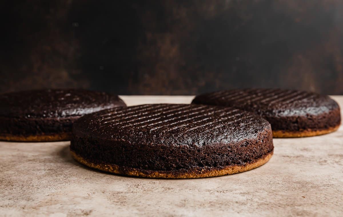 Three chocolate cake layers baked on a graham cracker crust, laying in front of a dark brown background.