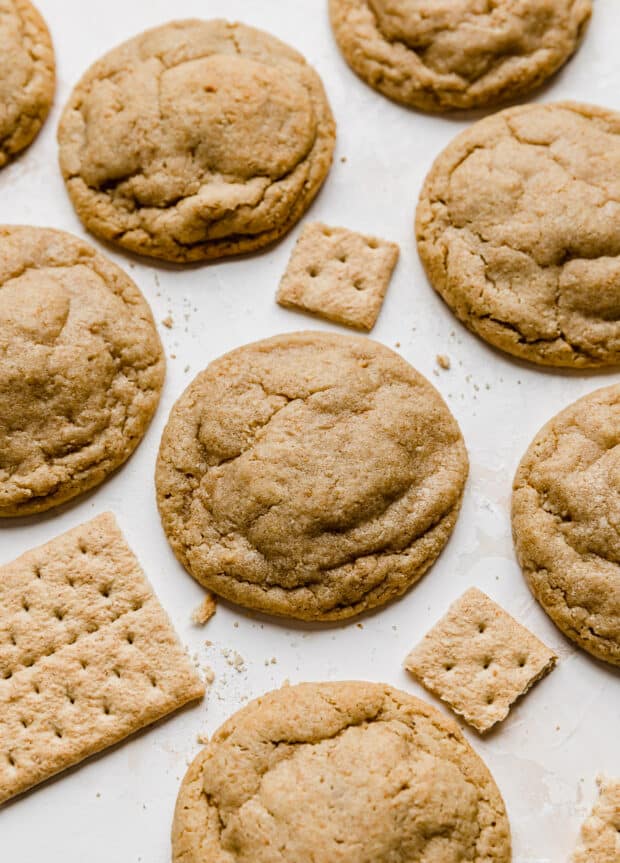 Graham cracker cookies salt baker