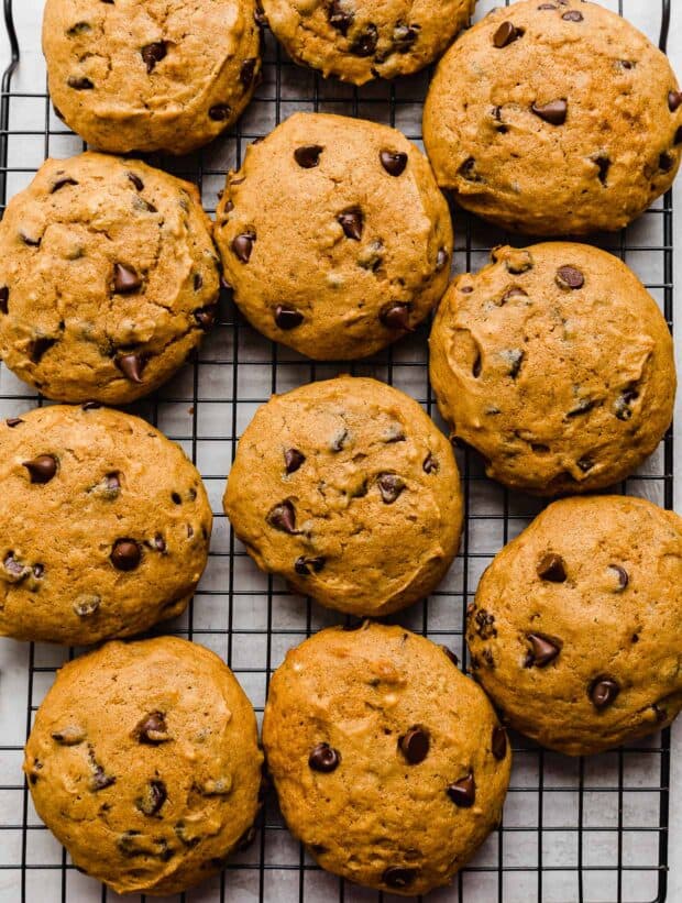 Crumbl pumpkin chocolate chip cookies salt baker
