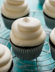 Chocolate cupcakes on a blue background, topped with white chocolate Whipped Cream Frosting.