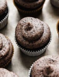 Oreo Frosting swirled on a black cupcake.