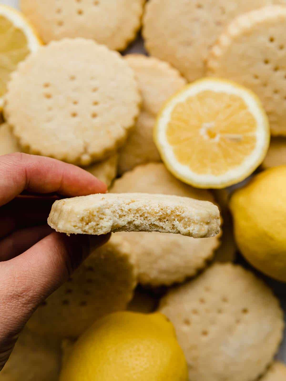 A hand holding a lemon biscuit cookie with sliced lemons and other Lemon Shortbread Cookies in the background.