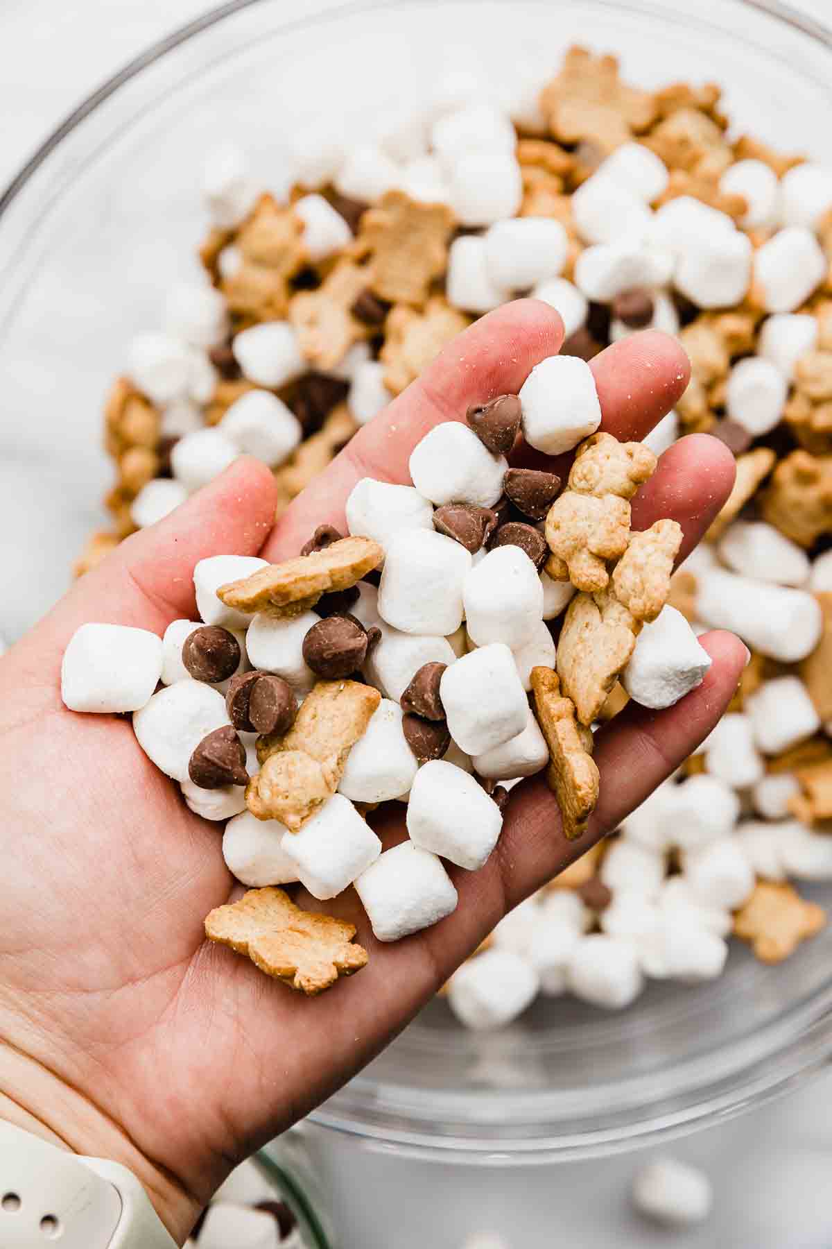A hand holding S'mores snack mix.