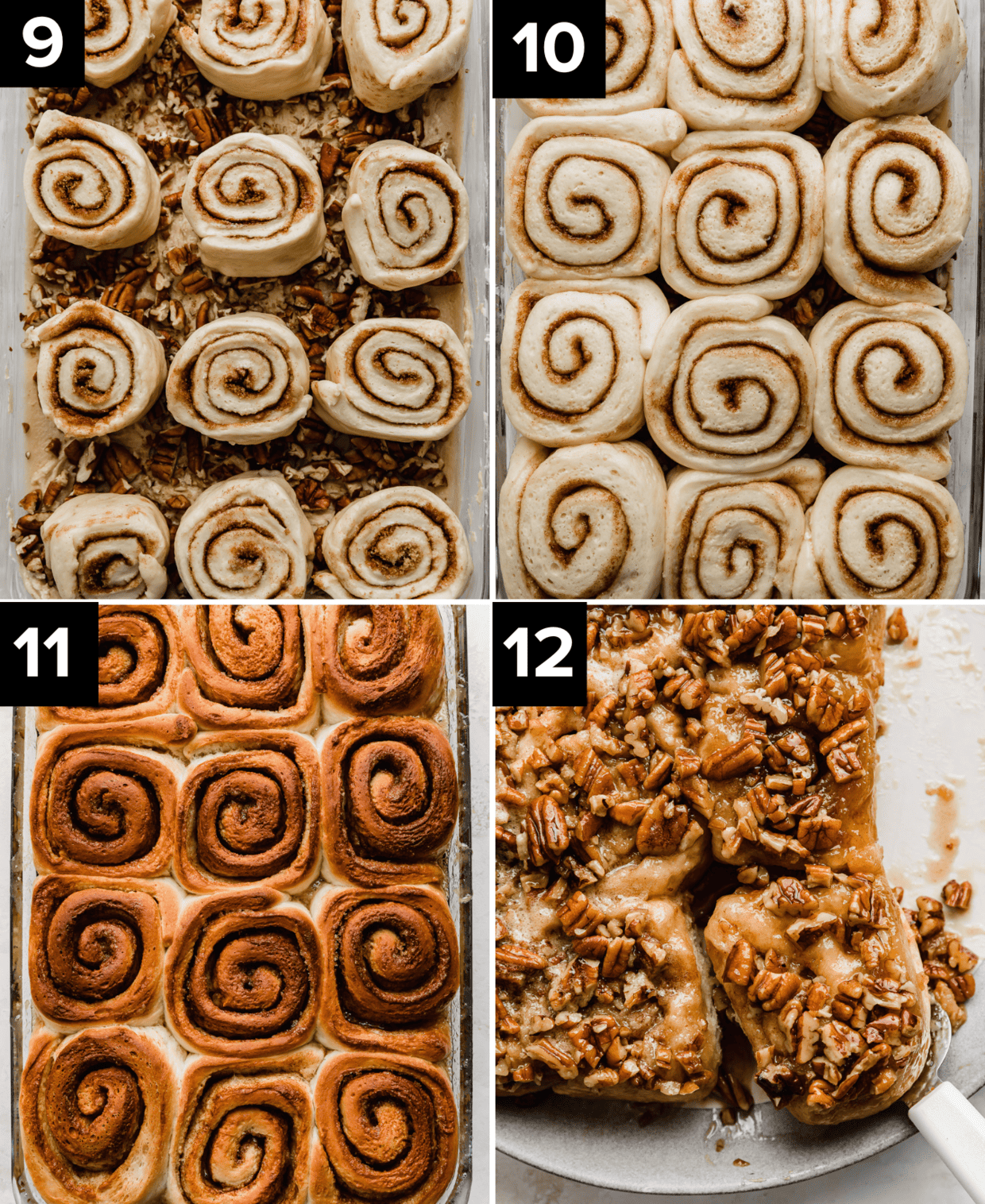 Raw Pecan Sticky Buns lined up in a glass rectangular baking dish, and other images show golden baked Pecan Sticky Buns, and pecan sticky buns turned upside down so now topped with caramel sticky pecans.