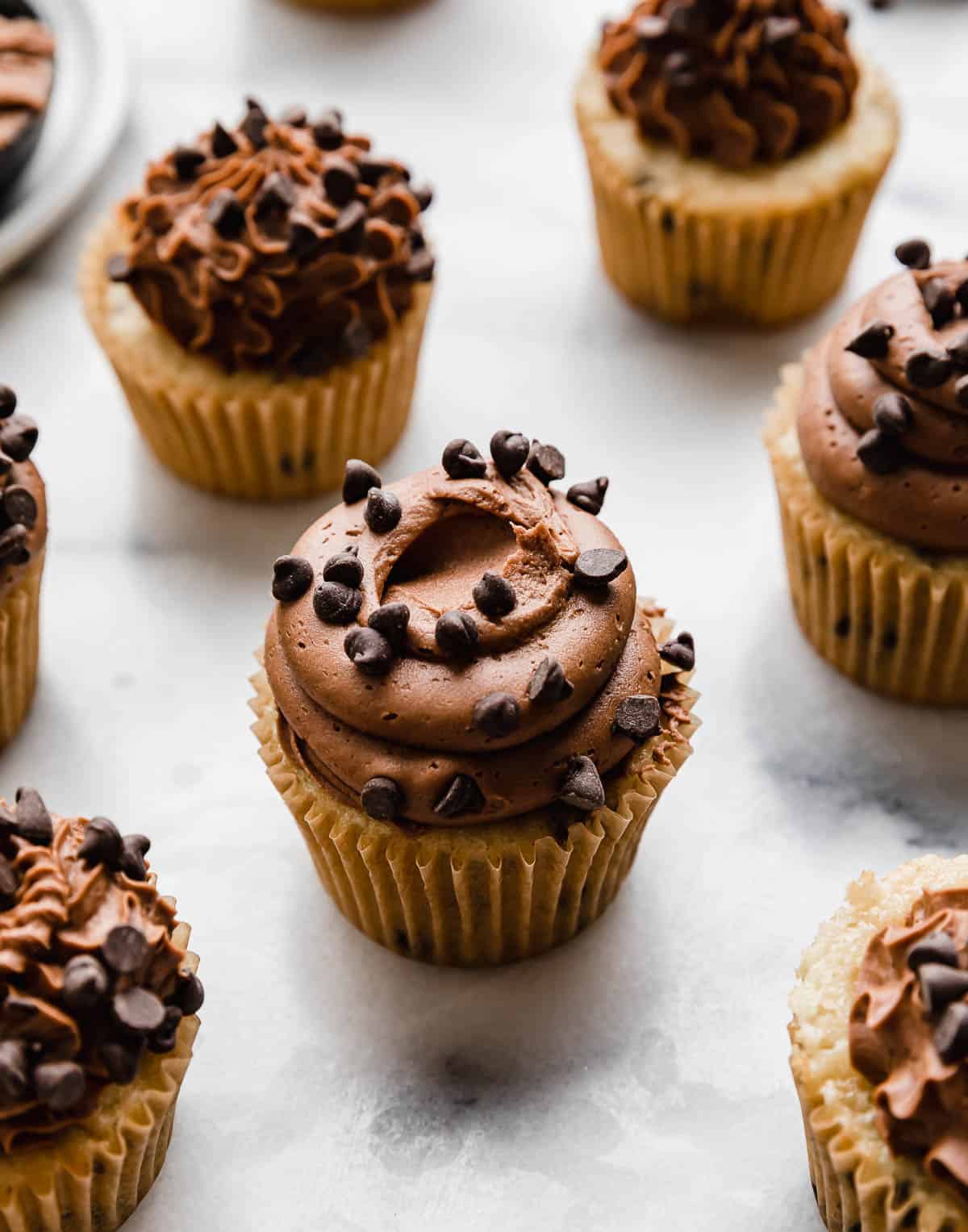 Mini chocolate chip topped Chocolate Chip Cupcakes with a swirl of chocolate buttercream frosting on top!
